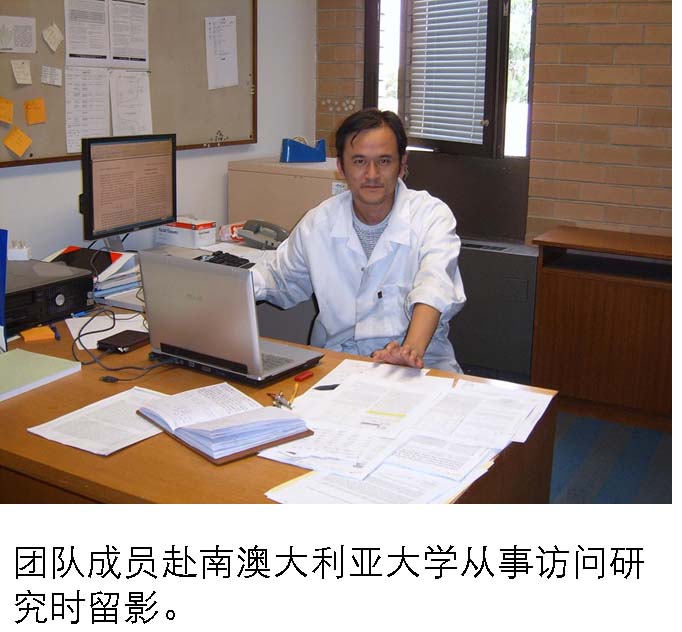 无套中出